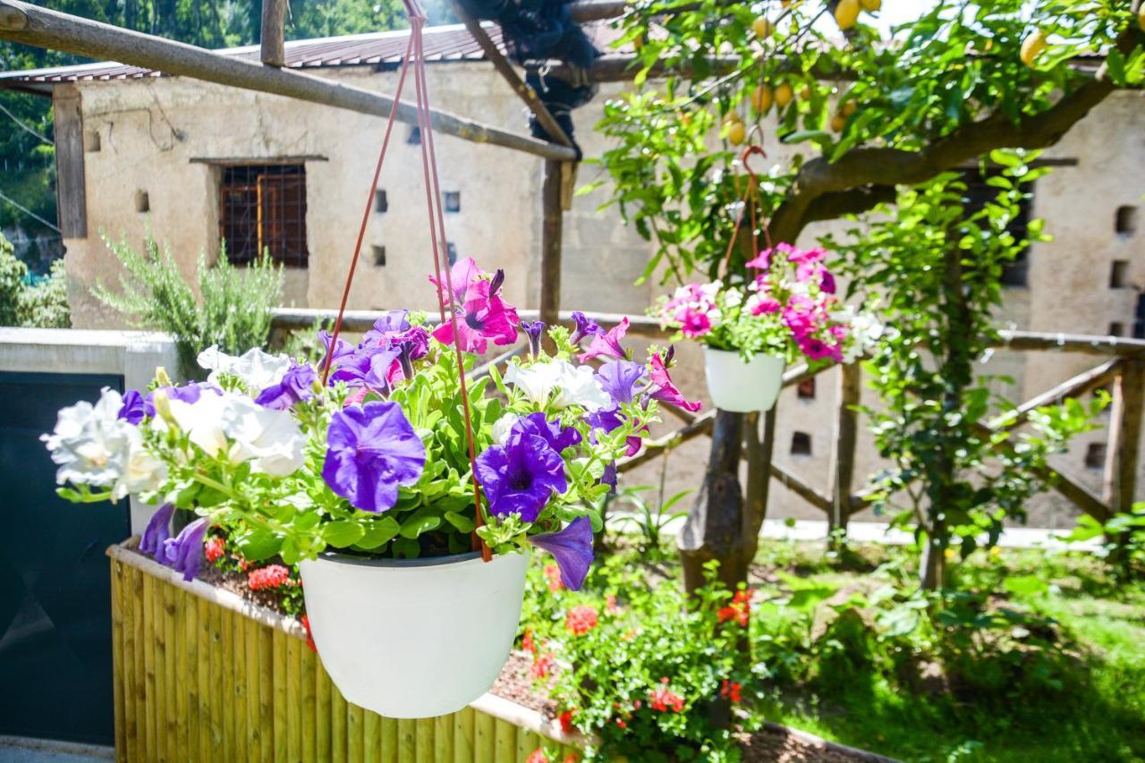 Holiday House Ruocco Maiori Zewnętrze zdjęcie